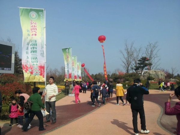 日照植物园文化节