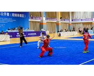 武韵山海 国粹绽放！2026年全国传统武术公开赛（螳螂拳赛区）在日照高新区盛大开赛
